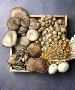 Many kinds of mushrooms Assorted